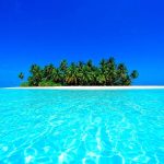 iles-bleus-plage-palmier-fond-d-ecran