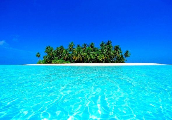 iles-bleus-plage-palmier-fond-d-ecran