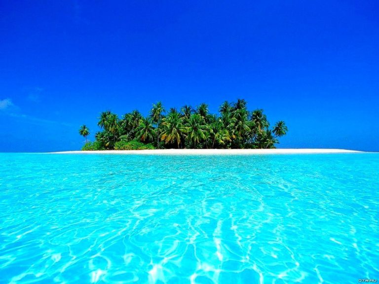 iles-bleus-plage-palmier-fond-d-ecran